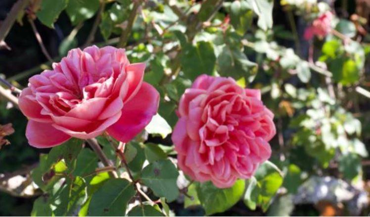 פרובן Le Gite Entre Val Et Rose מראה חיצוני תמונה